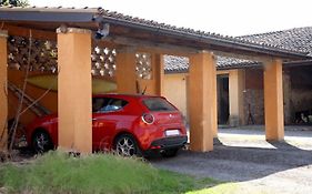 B&B Stradivari